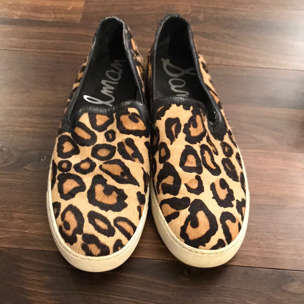 Cheetah slides